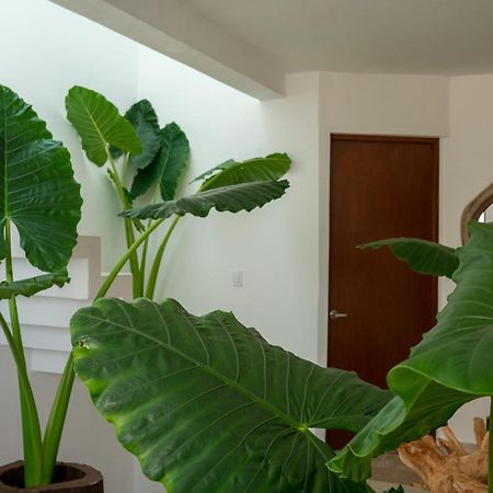 Recamara 5 Tulum Apartment Cancun Luaran gambar