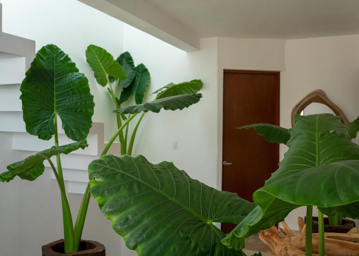 Recamara 5 Tulum Apartment Cancun Luaran gambar